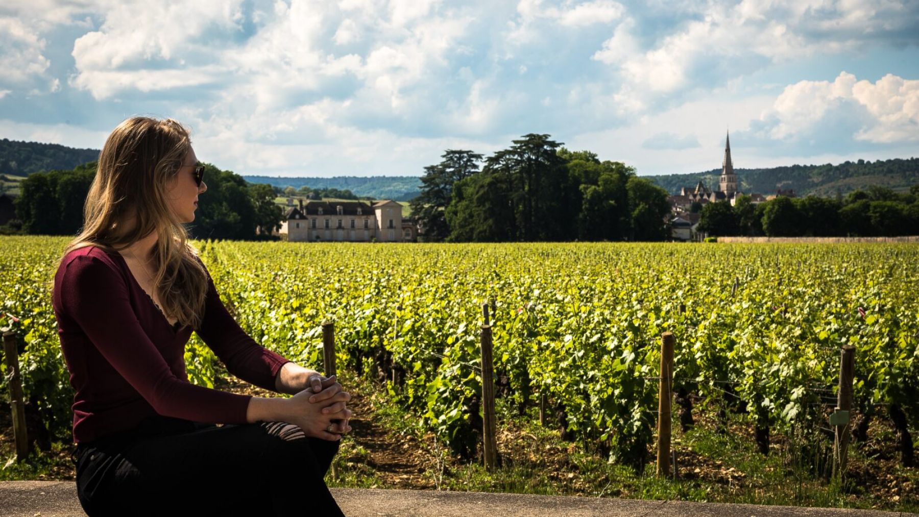 Quel vignoble visiter en Bourgogne ?